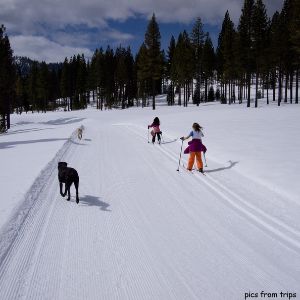 x-country skiing with the pups2011d09c011.jpg